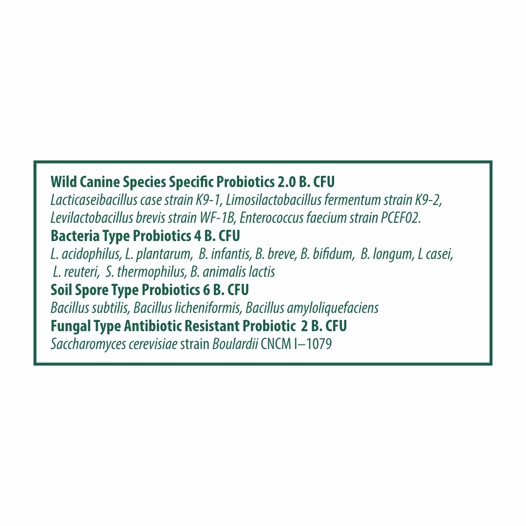 WellyTails SuperSauce 12-in-1 kibble topper powder in a green and white package, labeled with probiotic details.