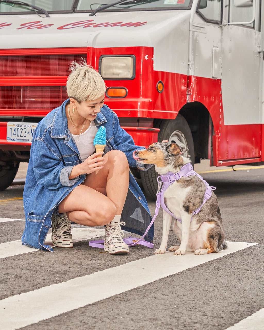 Cushioned No-Pull Dog Harness product image 45