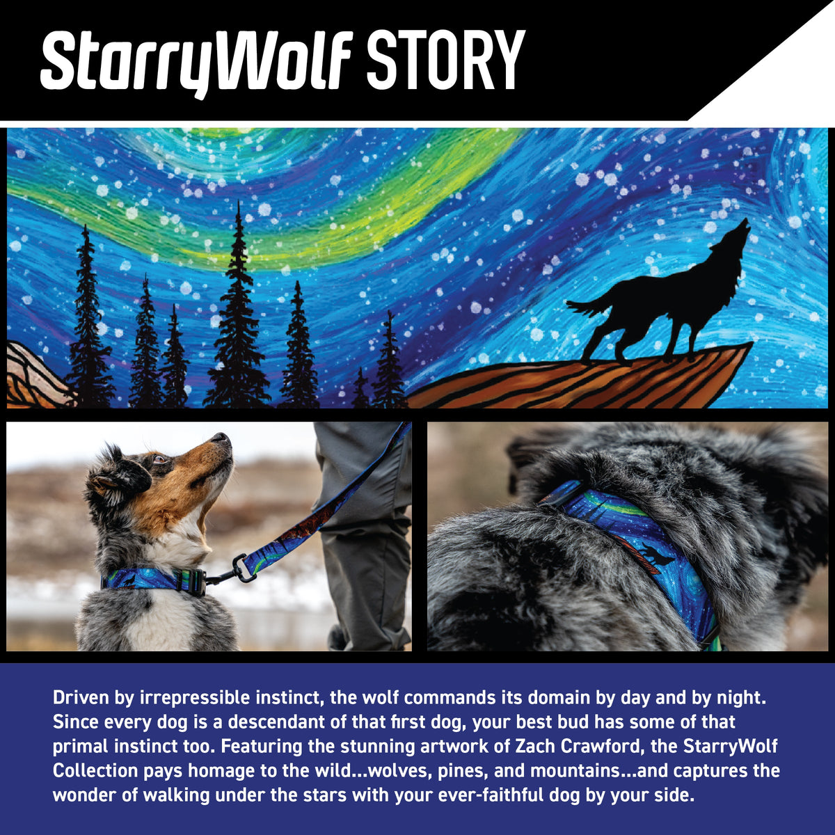 Dog Harness product image 2
