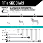 Dog Collar product image 5
