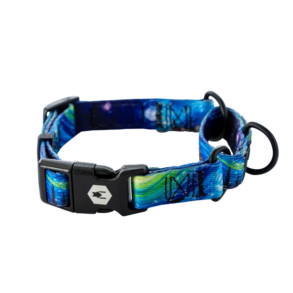 Martingale Dog Collar product image 1