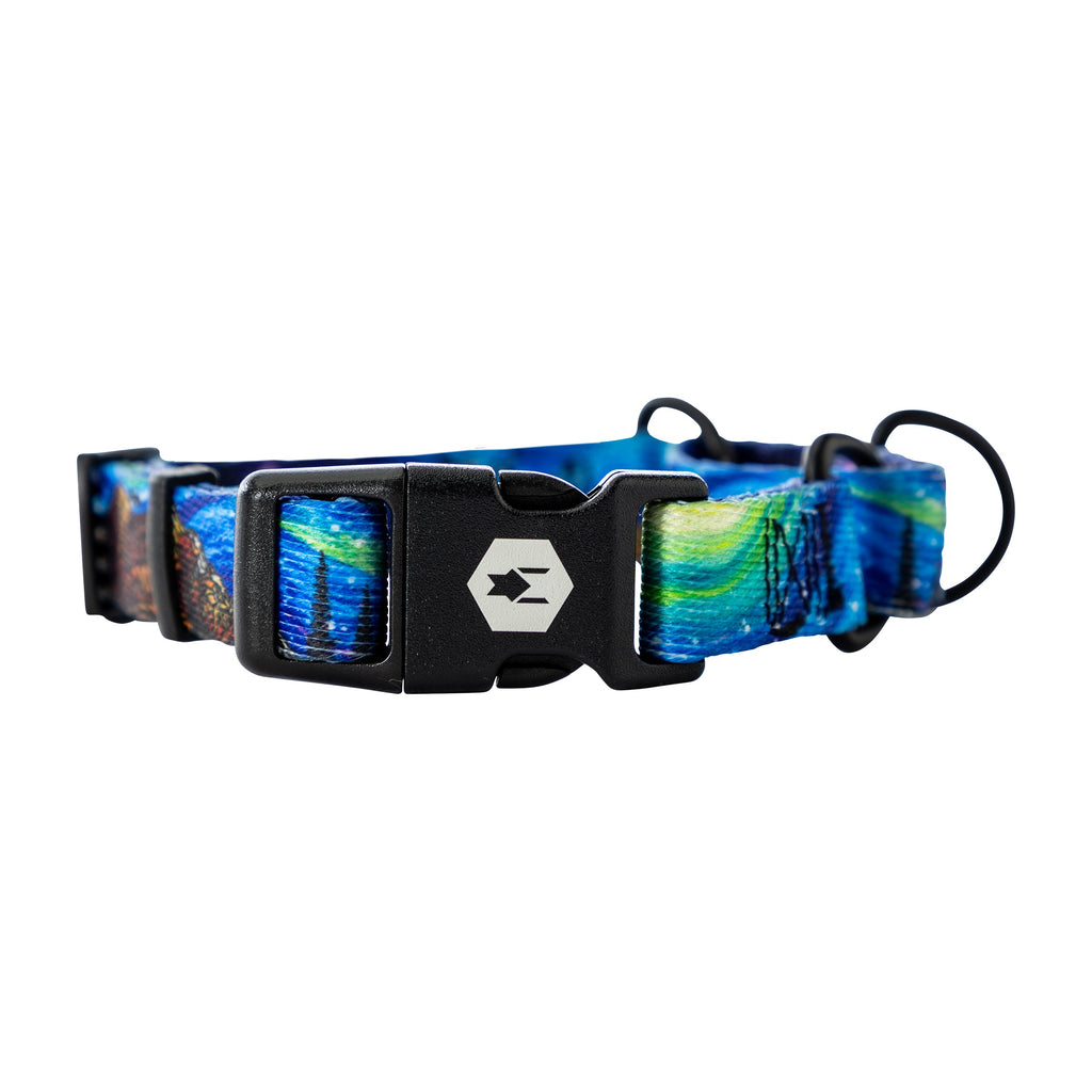 Martingale Dog Collar product image 7
