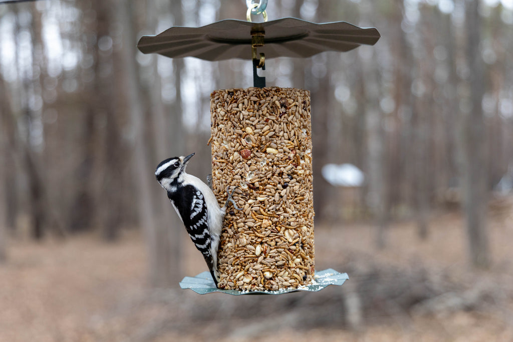 Backyard Bird Seed Cylinder product image 5