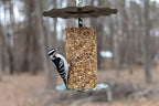 Backyard Bird Seed Cylinder product image 5