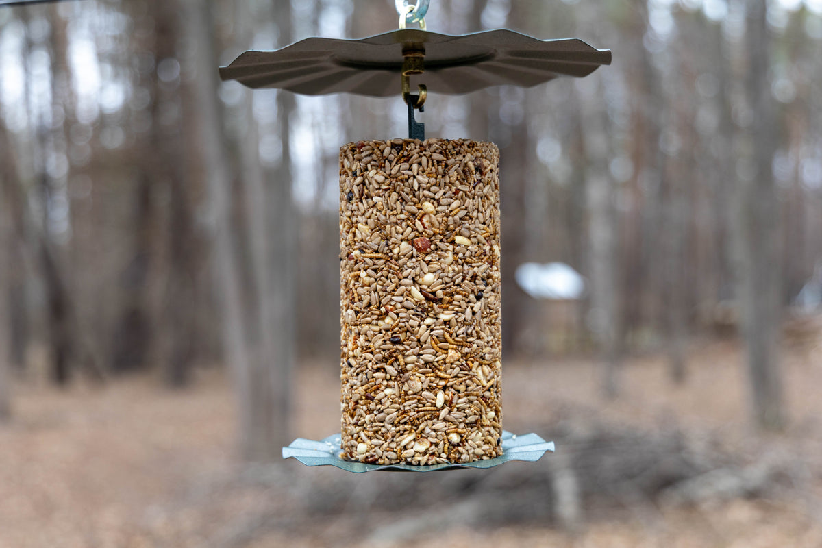 Backyard Bird Seed Cylinder product image 6