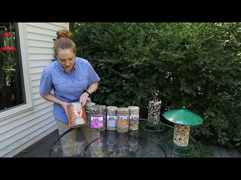 Backyard Bird Seed Cylinder product image 7