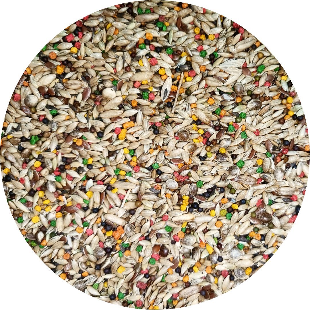 Canary Seed Blend product image 1