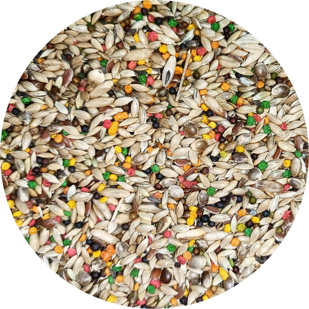 Canary Seed Blend product image 2