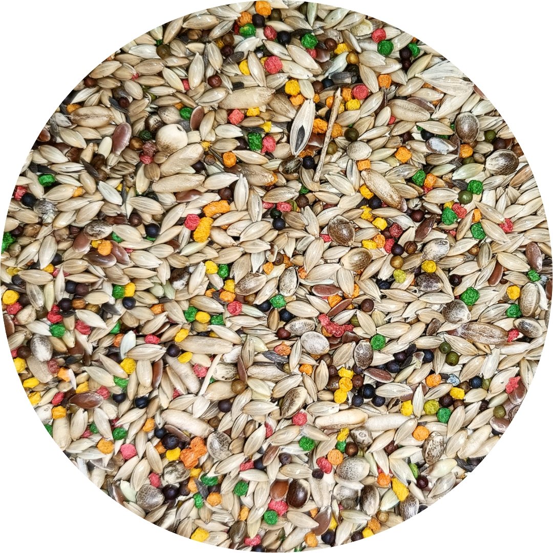 Canary Seed Blend product image 2