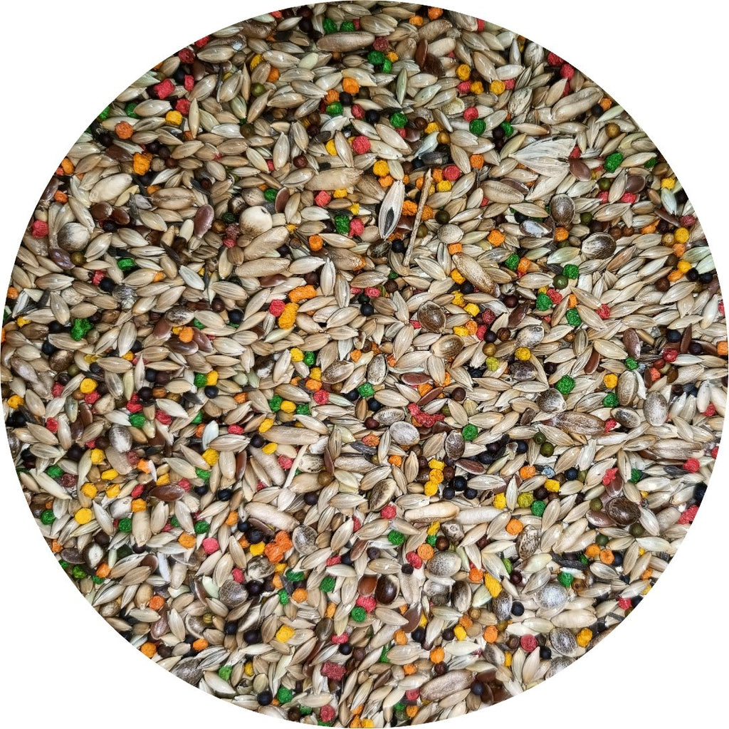 Canary Seed Blend product image 3