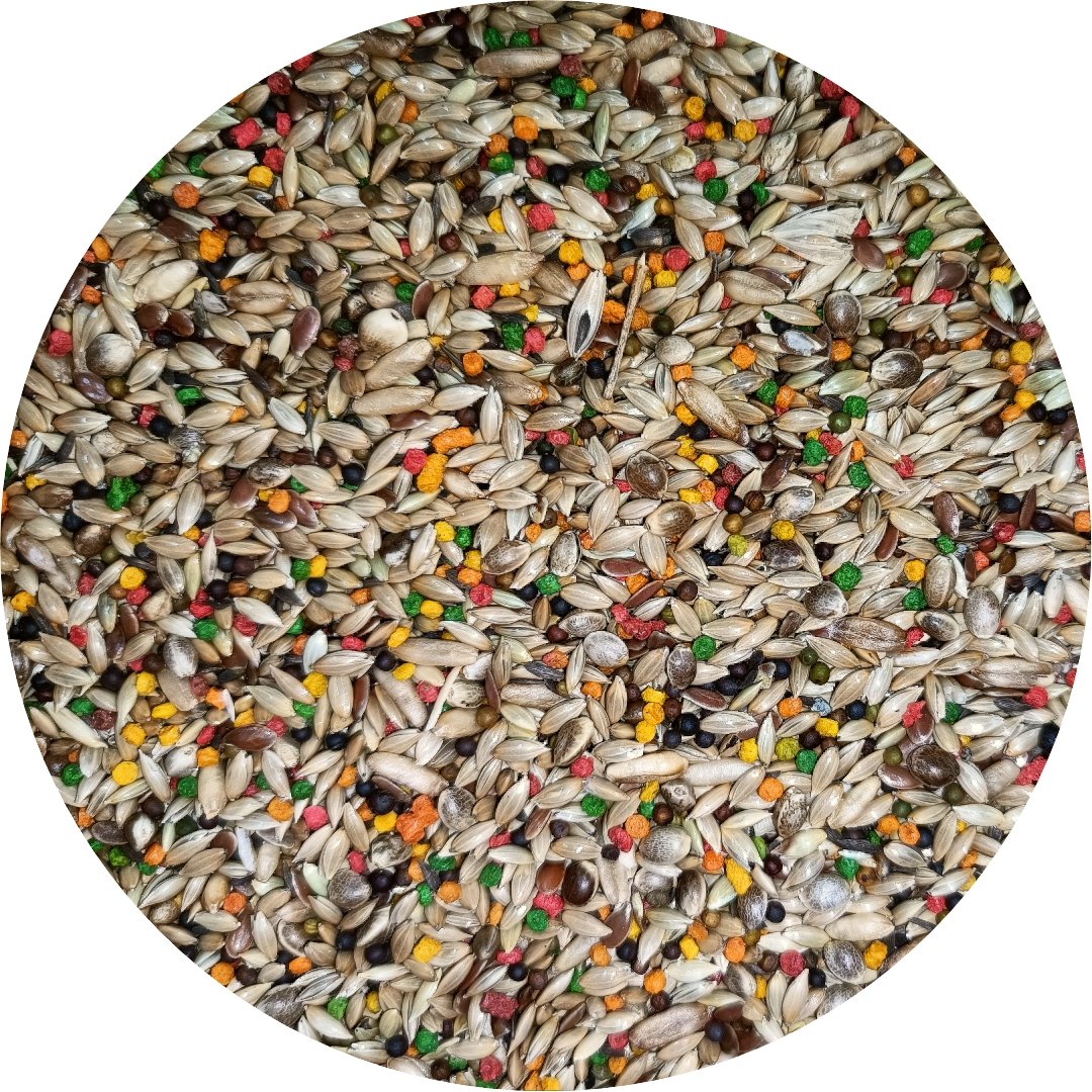 Canary Seed Blend product image 3