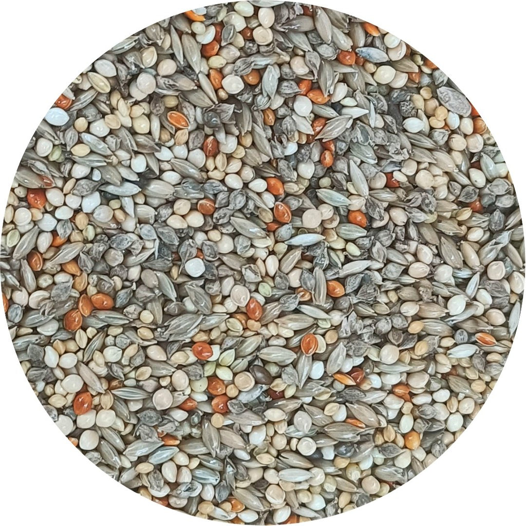 Gouldian Finch Seed Blend product image 1