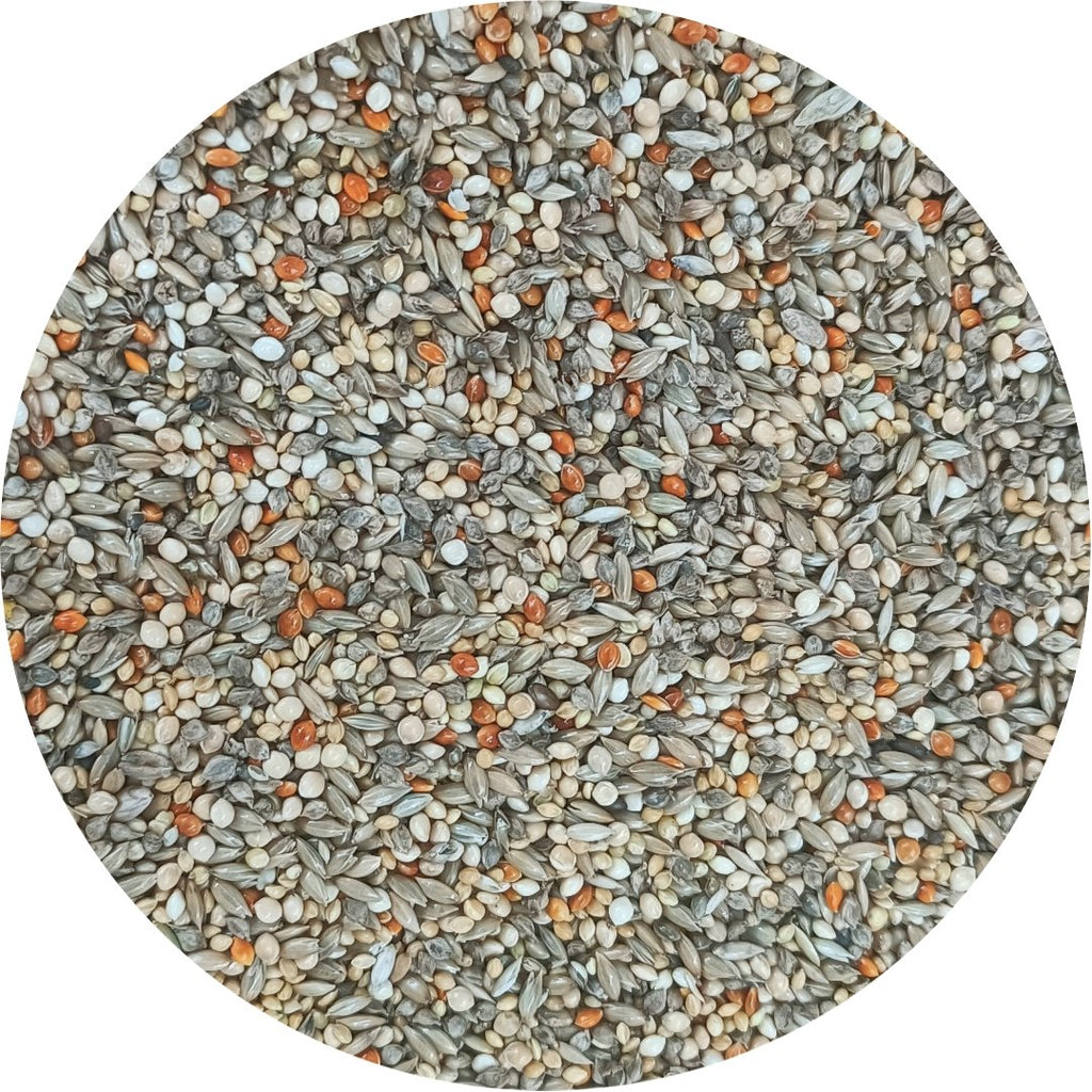 Gouldian Finch Seed Blend product image 2