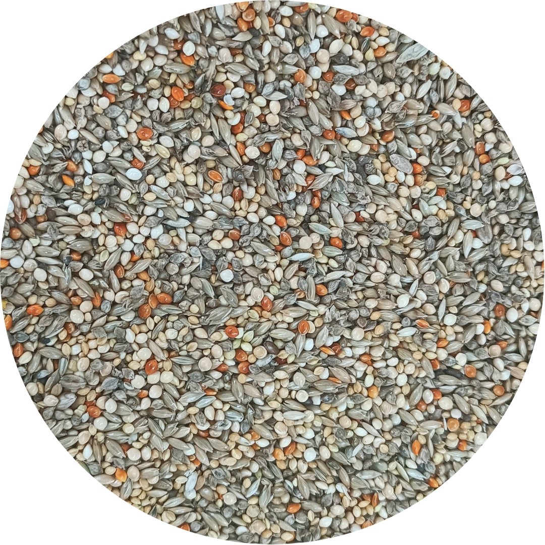 Gouldian Finch Seed Blend product image 2