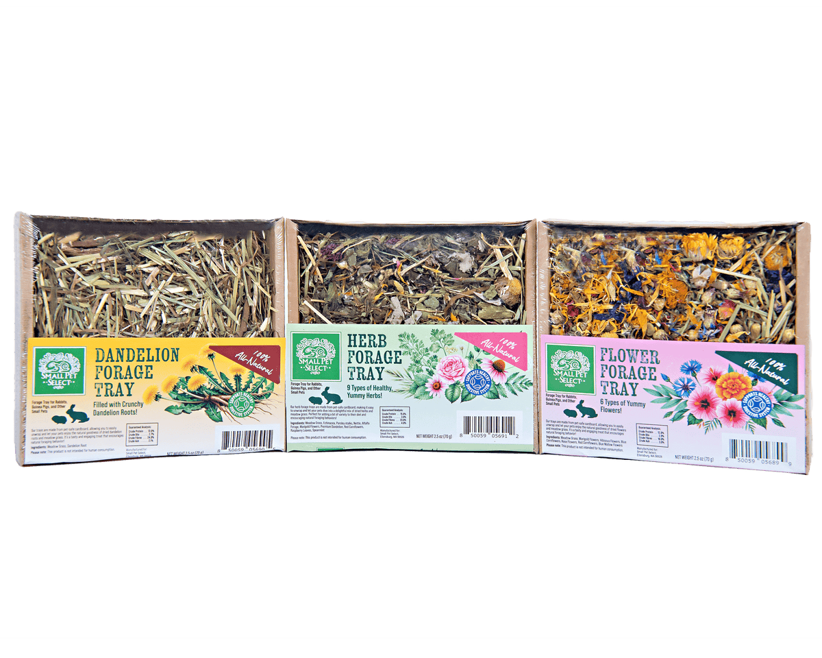 Small Animal Forage Tray Bundle product image 1
