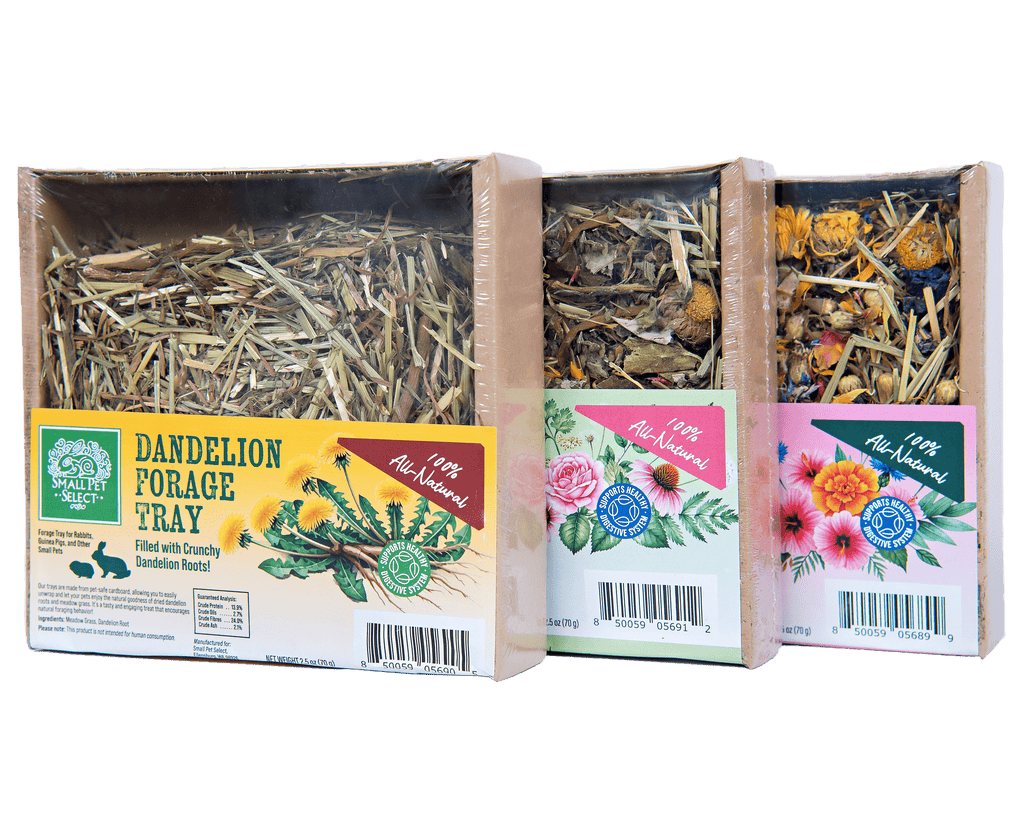 Small Animal Forage Tray Bundle product image 2