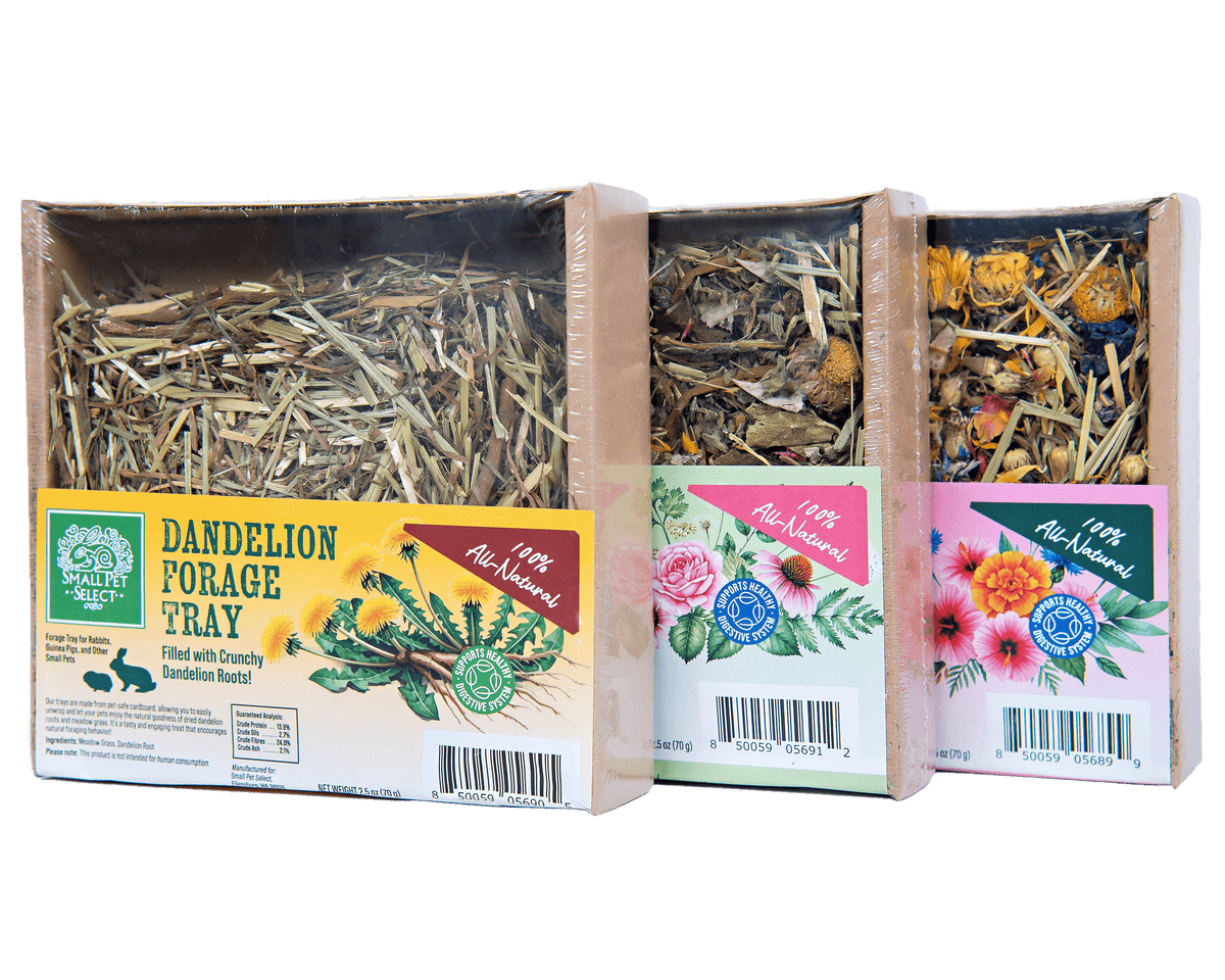Small Animal Forage Tray Bundle product image 2