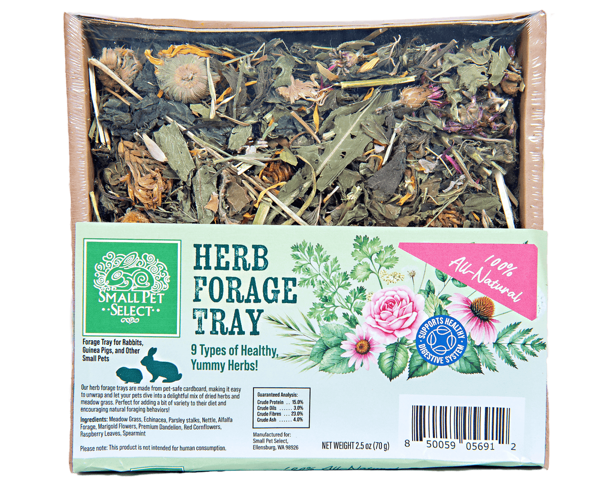 Small Animal Forage Tray Bundle product image 4
