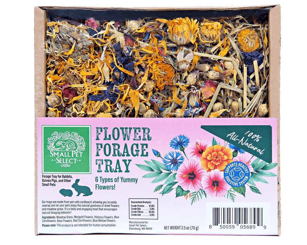 Small Animal Forage Tray Bundle product image 5