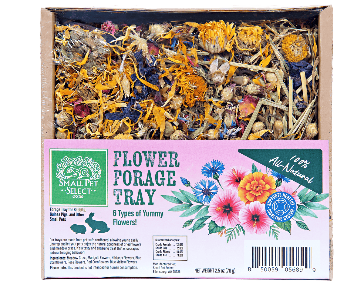 Small Animal Forage Tray Bundle product image 5