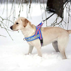 Reflective Dog Harness product image 8
