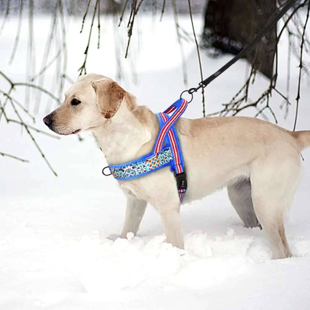 Reflective Dog Harness product image 8