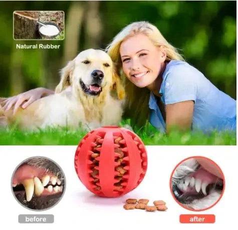 Dog Treat Ball product image 6