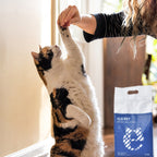 Mixed Cat Litter product image 4