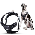 Dog Harness product image 1