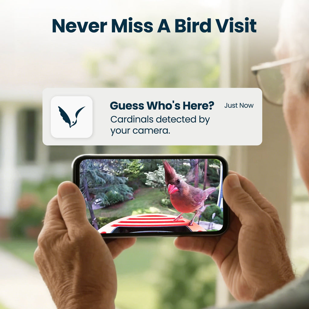 Smart Bird Feeder product image 2