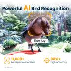 Smart Bird Feeder product image 4