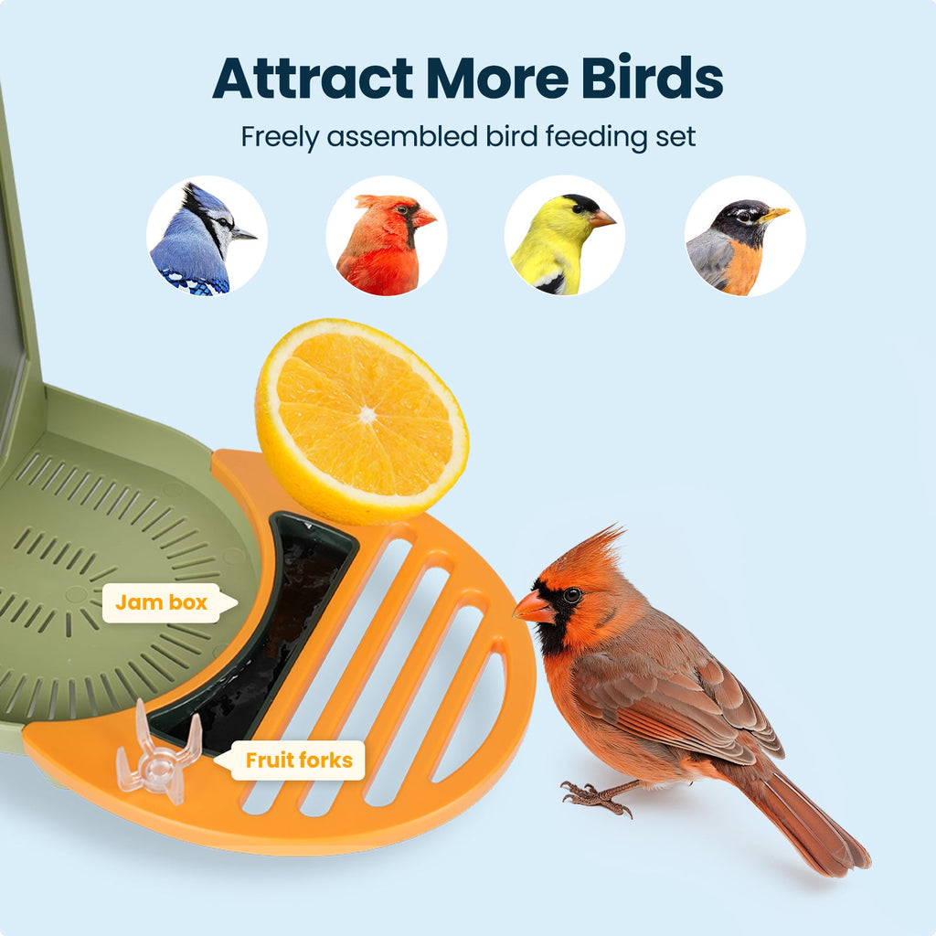 Smart Bird Feeder product image 6