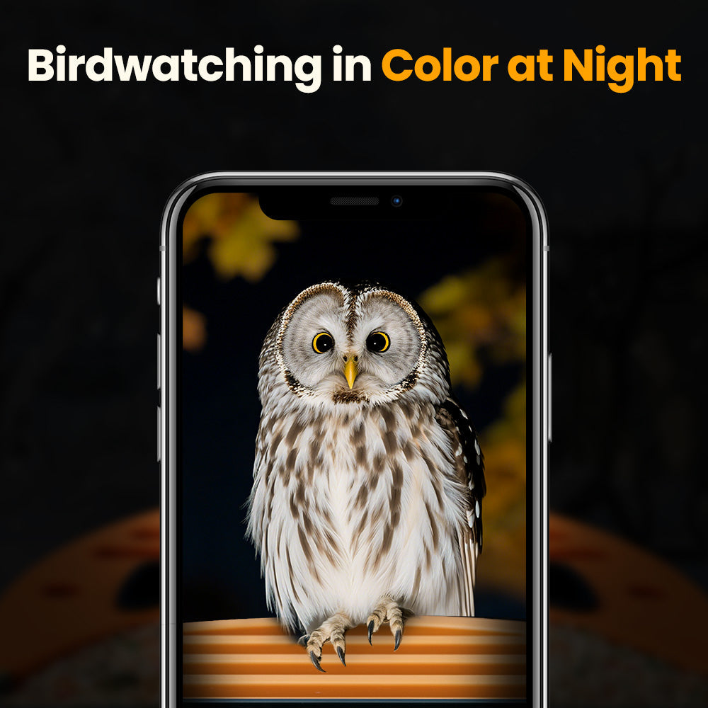 Smart Bird Feeder product image 12