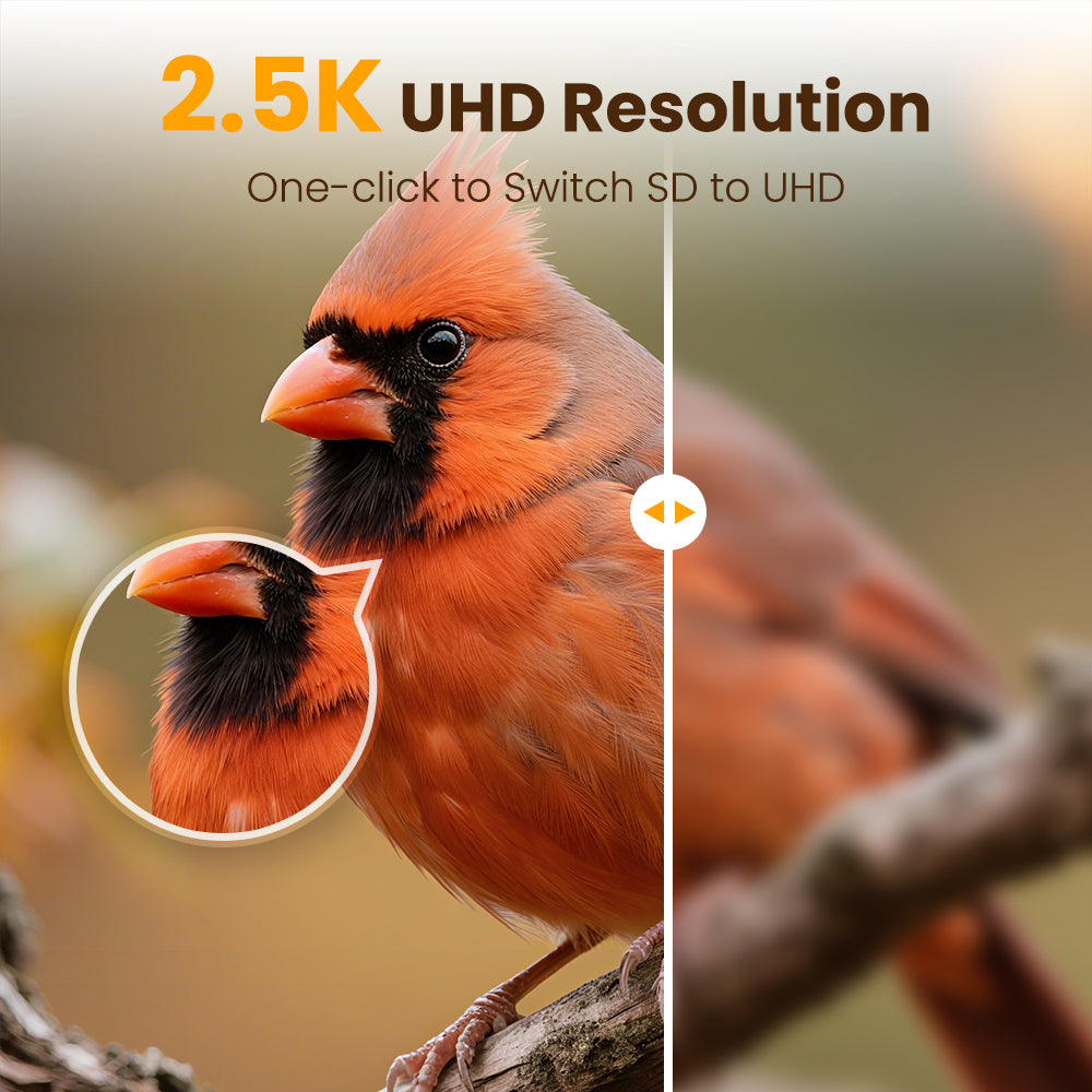 Smart Bird Feeder product image 16