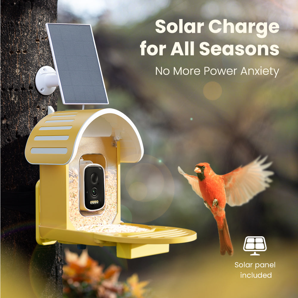 Smart Bird Feeder product image 19