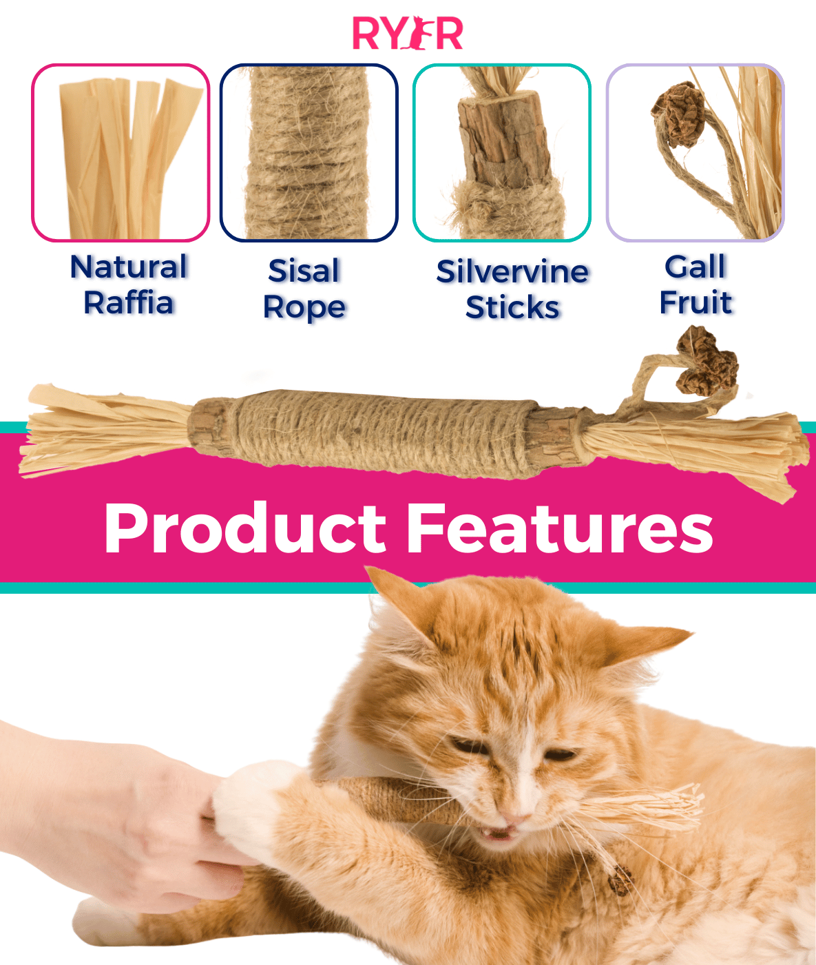 Silvervine Cat Dental Stick product image 3