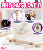 Silvervine Cat Dental Stick product image 4