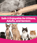 Silvervine Cat Dental Stick product image 6
