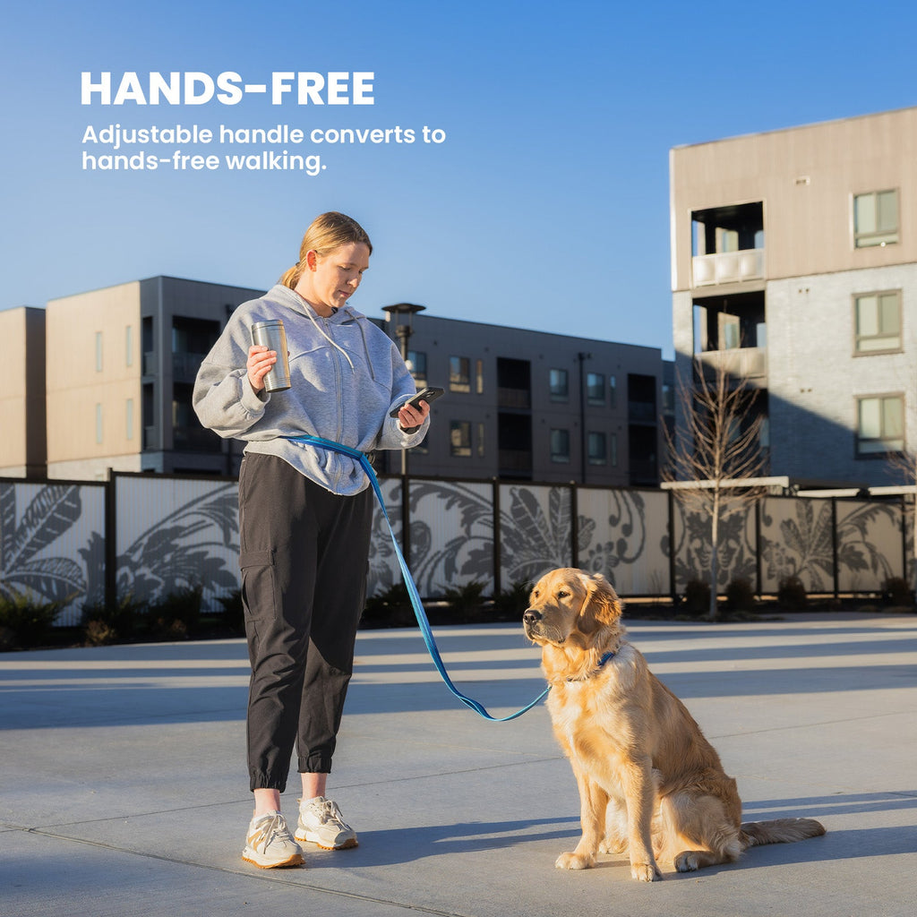 Dog Leashes product image 4
