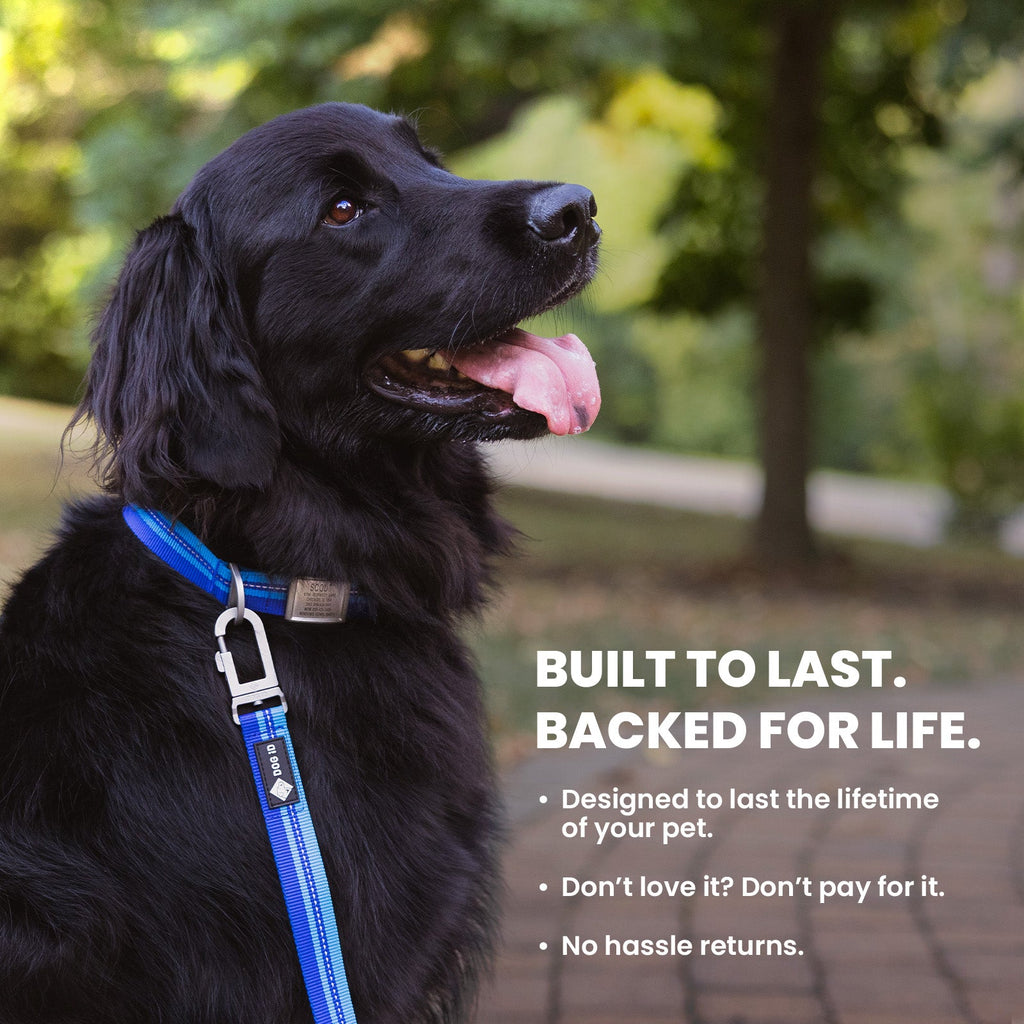Dog Leashes product image 6