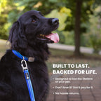 Dog Leashes product image 6
