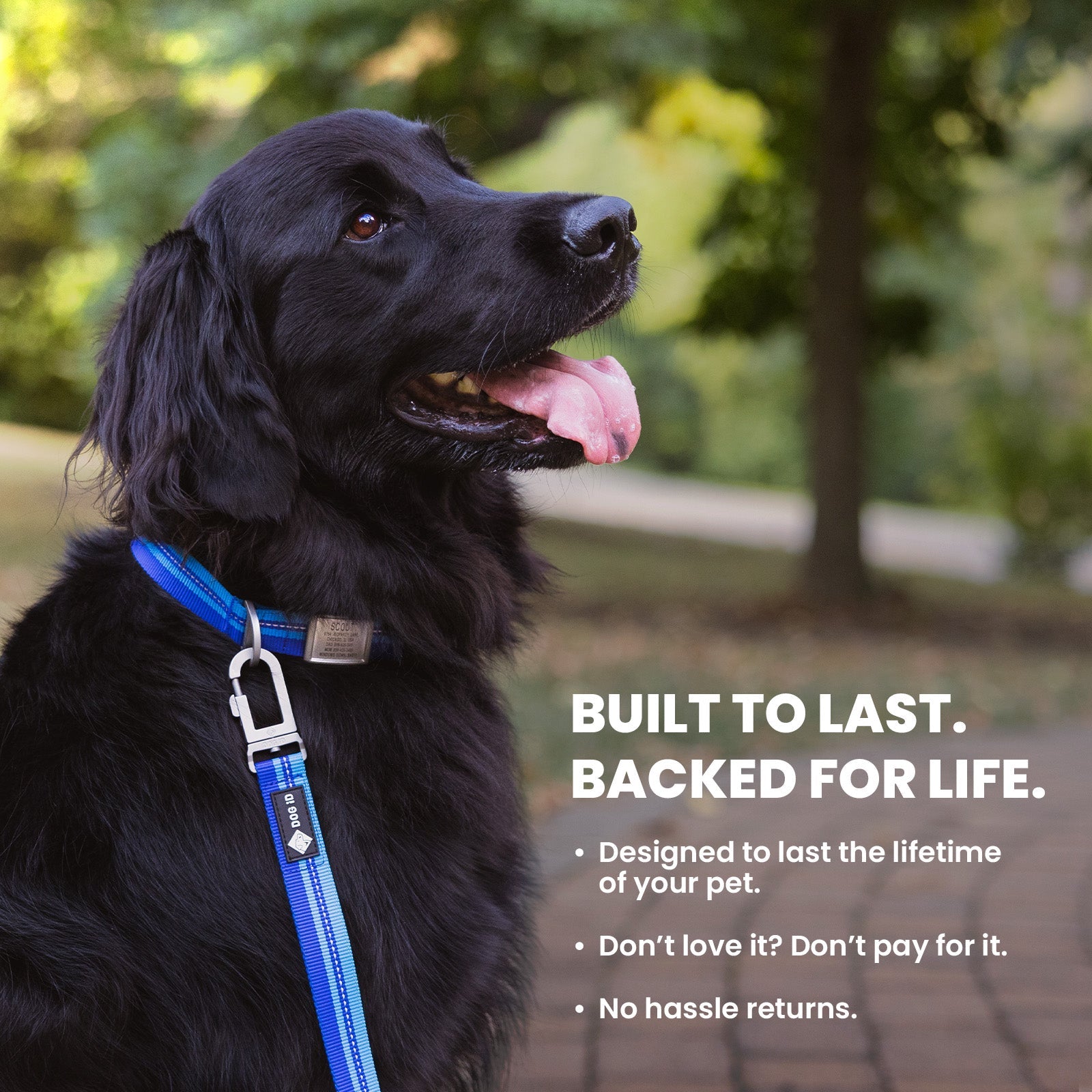 Dog Leashes product image 6