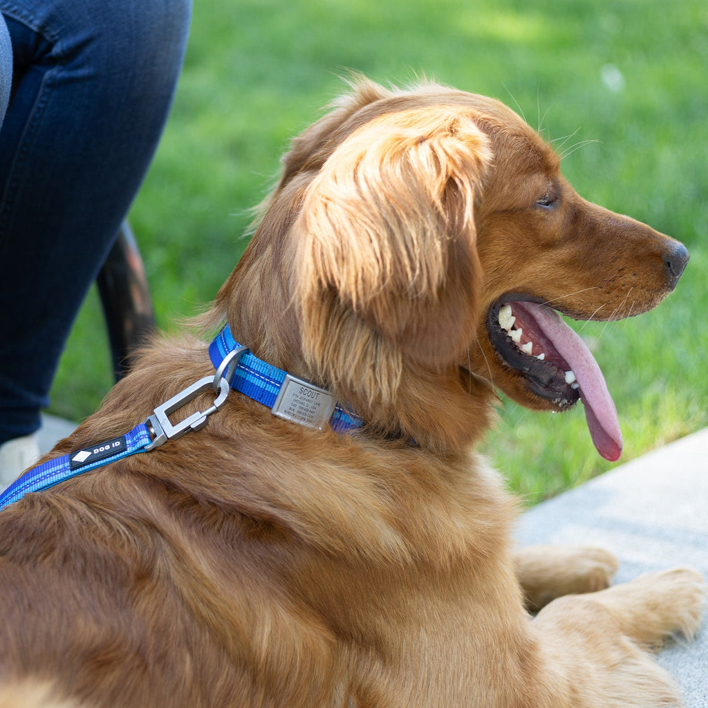Dog Leashes product image 7