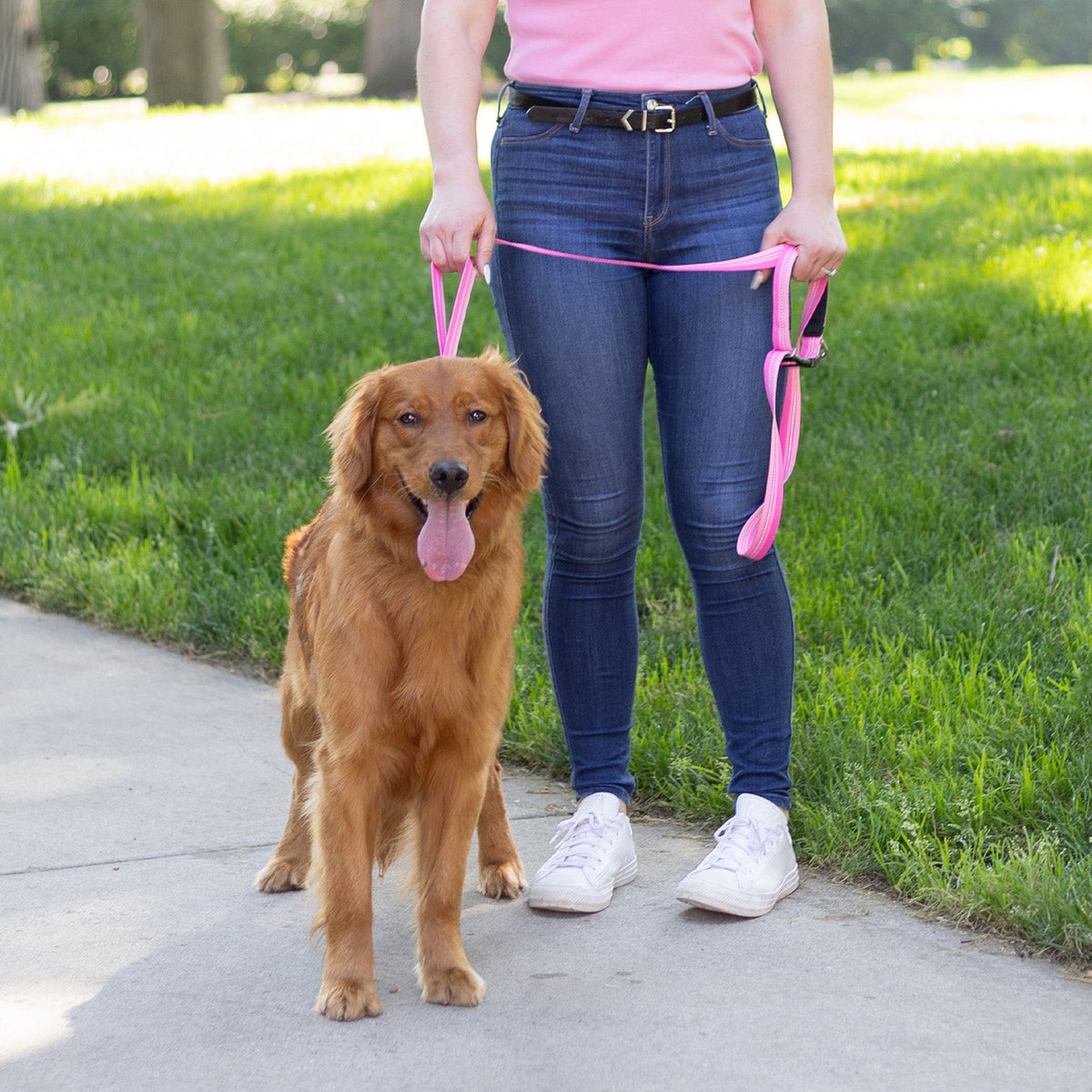 Dog Leashes product image 8