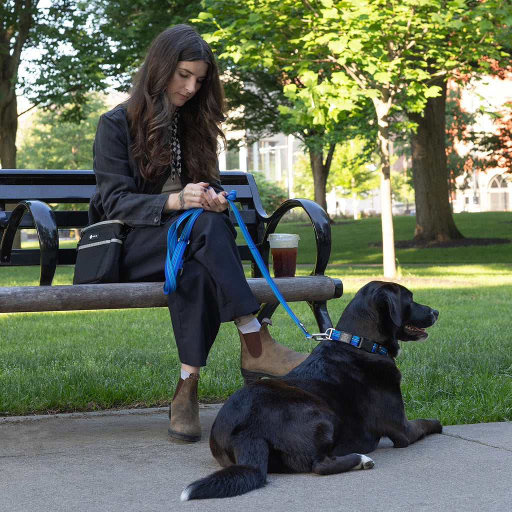 Dog Leashes product image 9