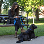 Dog Leashes product image 9