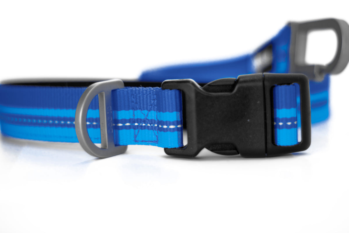 Dog Leashes product image 11