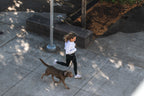 Dog Leashes product image 16