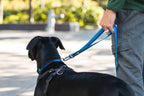 Dog Leashes product image 17
