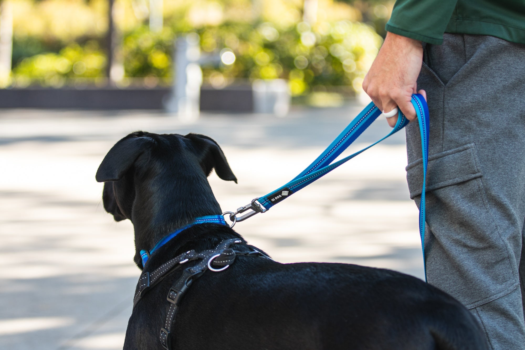 Dog Leashes product image 17